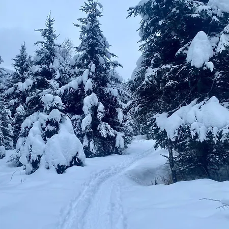 아파트 Kerstin 3 - By Smr - Close To Gondola And