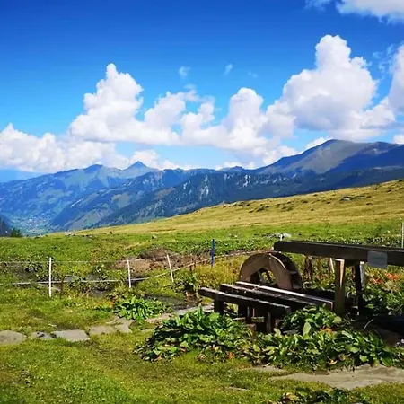 Kerstin 3 - By Smr - Close To Gondola And